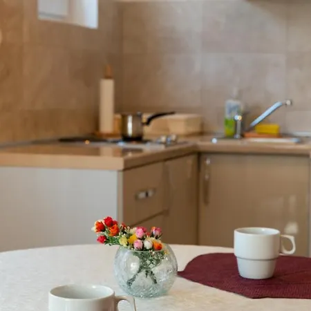 Joy By Apartamento Vrnjačka Banja