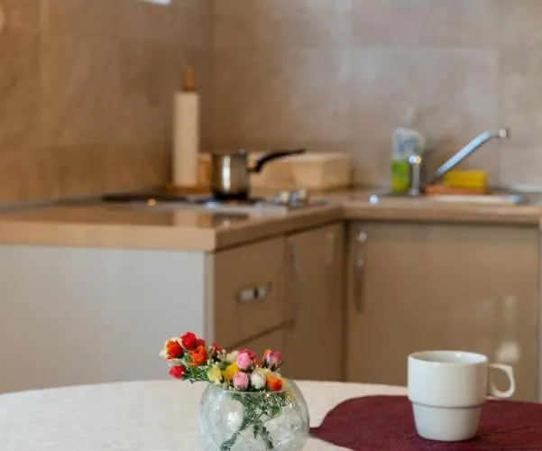 Joy By Apartment Vrnjačka Banja