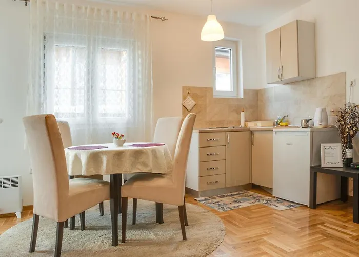 Joy By Daire Vrnjačka Banja